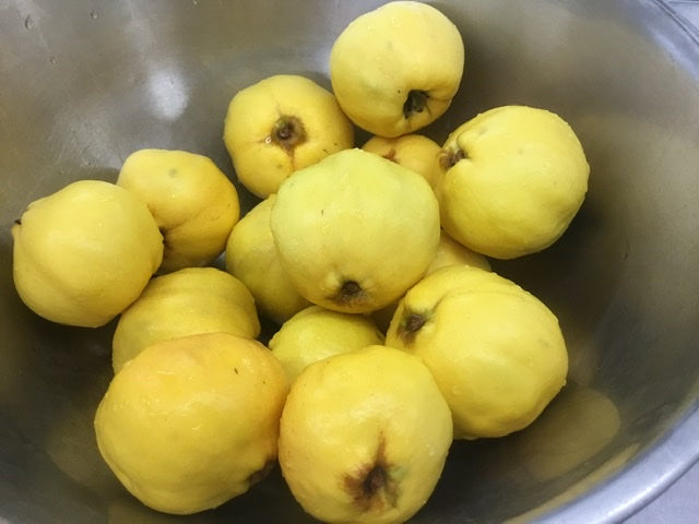 What is #GrowQuince?